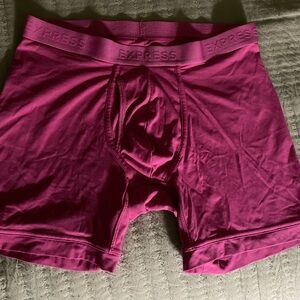 Express Mens Boxer Brief